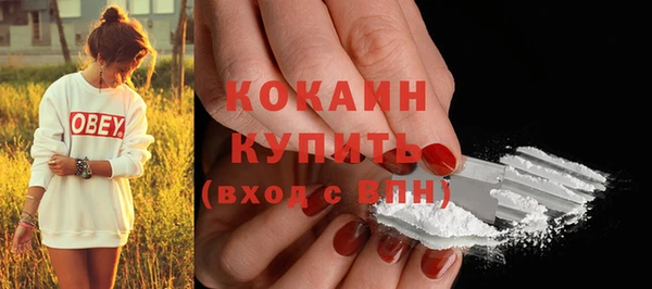 ECSTASY Гусев