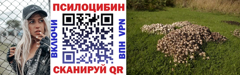 Галлюциногенные грибы GOLDEN TEACHER  нарко площадка какой сайт  Могоча 